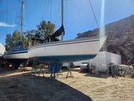 Hunter Legend 37