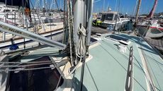 Rustler 36