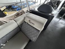 2022 Massimo Marine P23