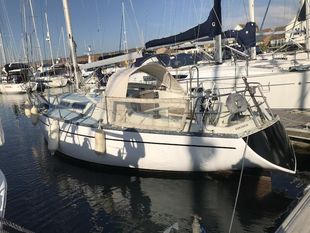 She 36