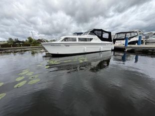 Viking 26 Golden Crown