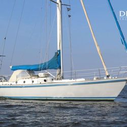1984 Koopmans 42