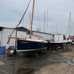 Shrimper 19