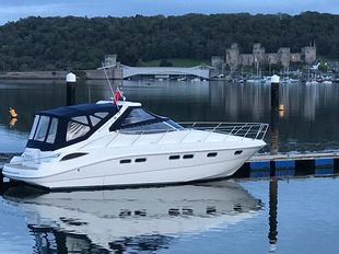Sealine S42 (Excellent Condition)