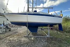 1981 Moody 29