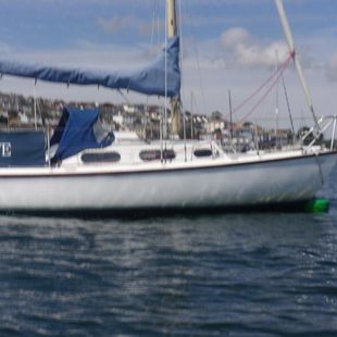 Achilles 24 sailing cruiser