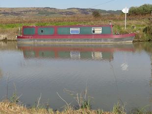 1995 Narrowboat 42ft Cruiser Stern