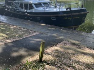Vacance Solide 37 Dutch STEEL