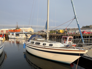Colvic Countess 28