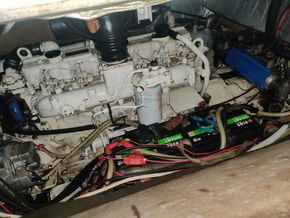 Denis Ganley Cutter NZYF CAT 1 OFFSHORE - Engine