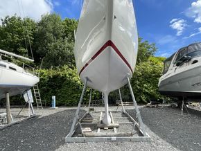 IMG 4154