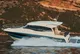 2021 Prestige 460