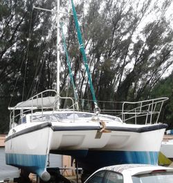 365 Dean Sailing Catamaran