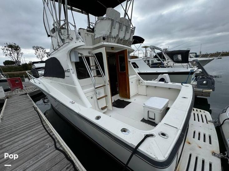 1989 Luhrs 320 tournament