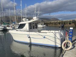 Arvor 25