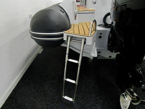 Swim Ladder