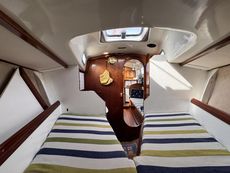 Classic Van de Stadt Harmony 31