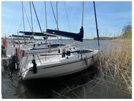 Dalpol Yachts Phobos 22