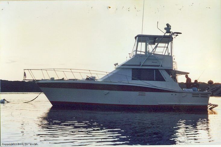 1983 Trojan 36 sportfish