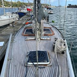 Rorqual 44