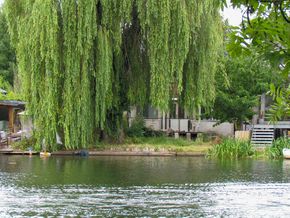 View from the Water
