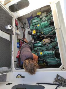 Hardy Seawings 305 for sale