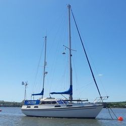 Colvic Victor 40