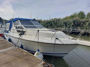 Cruisers International 267 Vee Express (available)