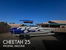 2012 Cheetah 25