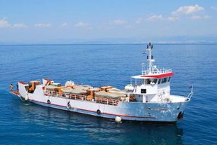 UTILITY SUPPORT VESSEL for sale