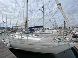 Rustler 36