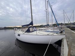 Yamaha - 29