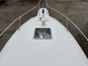 Sea Ray 270 Sundancer Sports Cruiser - Foredeck