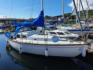 Trident 24