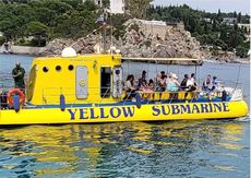 49 pax Semi submarine for immediate sale