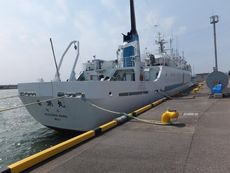 176' Training/Support Ship
