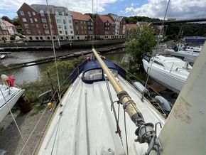 IMG 0138