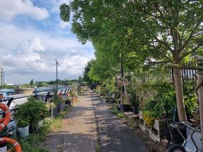 The moorings - this leads to a nature reserve