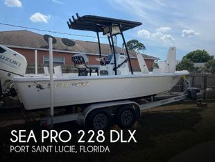 2019 Sea Pro 228 DLX