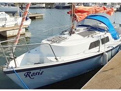 Hunter Minstrel  23