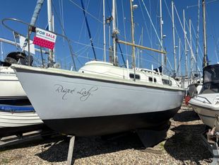 1973 Snapdragon 29