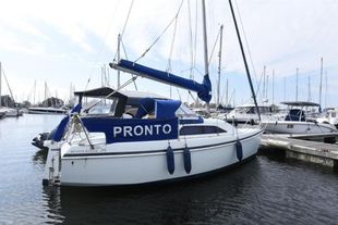 2002 Hunter Ranger 245