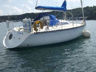 1984 Kelt 8.50