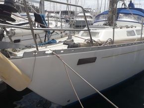 Tyler Slipper 42  - Bow