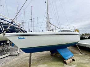 IMG 4675