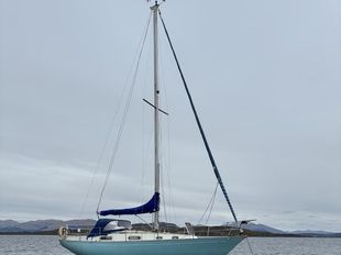 1975 Contessa 32