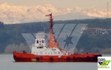 30m / Pusher Tug for Sale / #1010307
