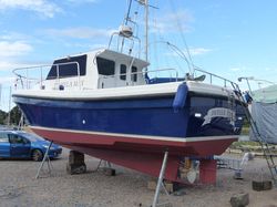 Cygnus Cyclone Patrol 30