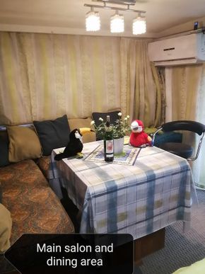 Main Salon & Dining Area