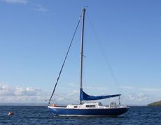 Wing 25 classic sailing yacht